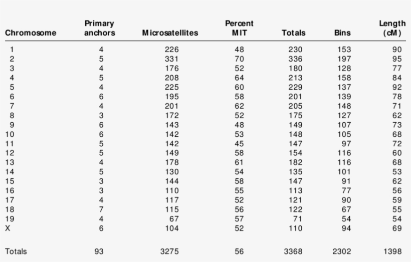 Summary Of Markers And Map Statistics By Chromosome - Pipe Tube Size 2, transparent png