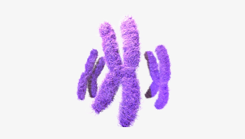 Problems With Viral Vectors- Toxicity, Immune And Inflammatory - Craft, transparent png