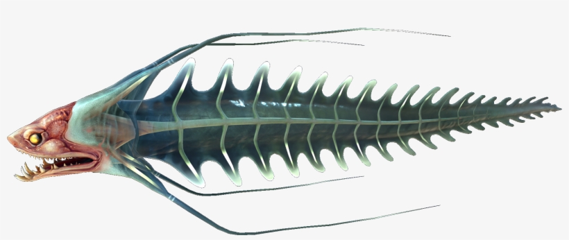 Spine Eel Fauna - Subnautica Spine Eel, transparent png