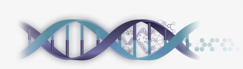 Acecgt Diagnostic Offers A Full Range Of Molecular - Architecture, transparent png