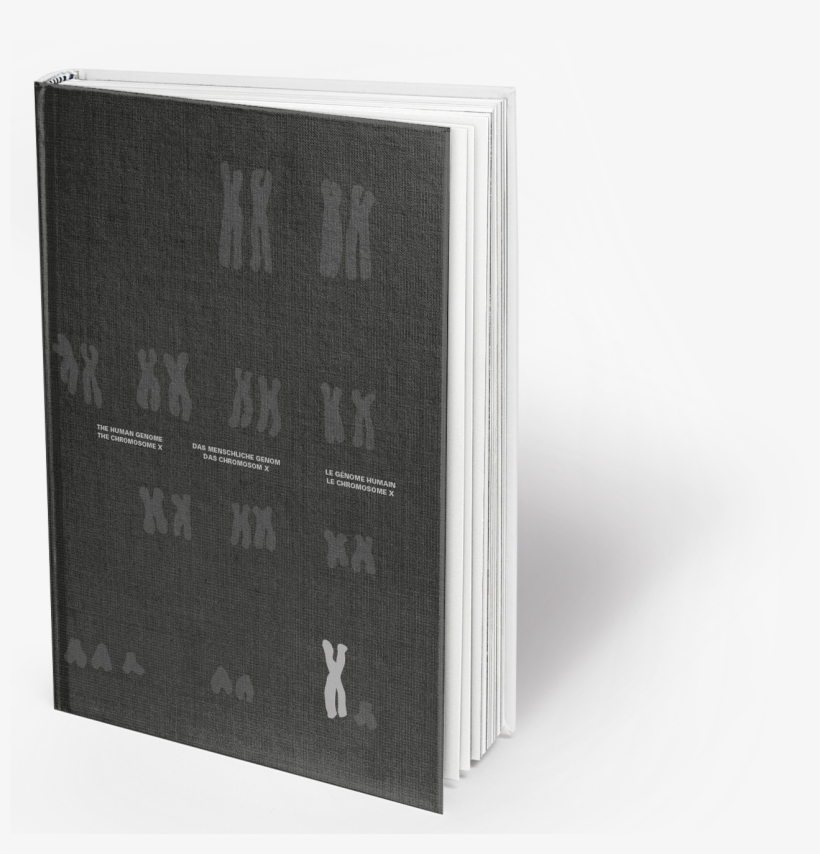 Publishing, transparent png