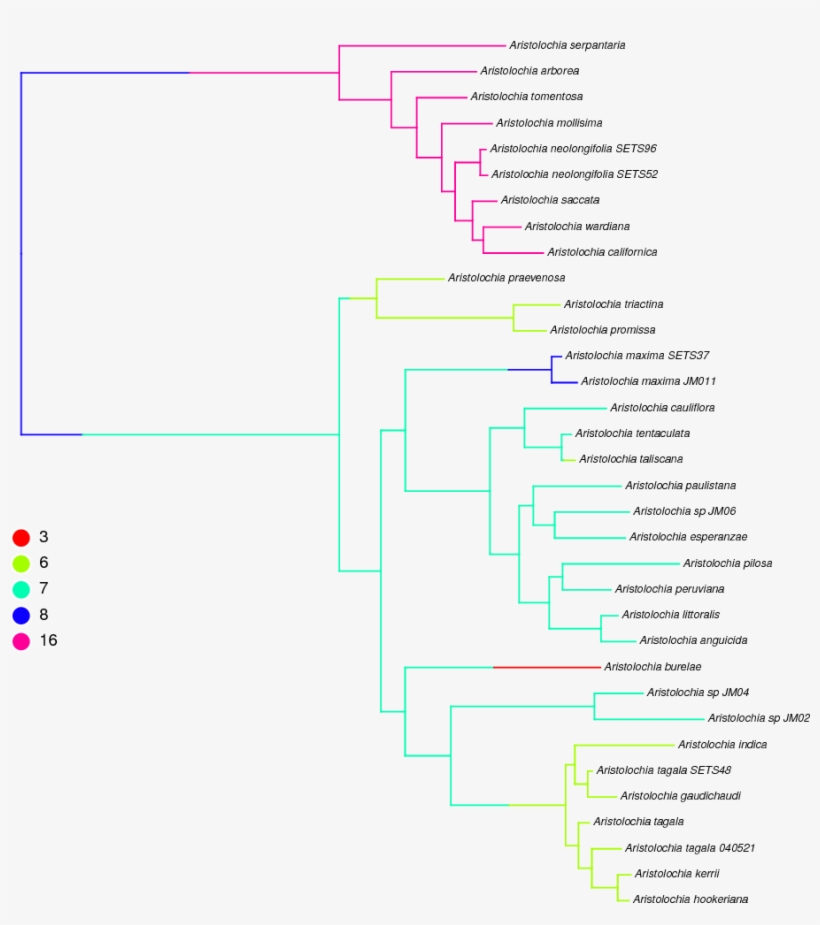 An Example Of Stochastic Character Mapping Applied - Diagram, transparent png