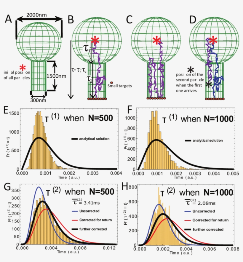 A B C D - Geometry, transparent png