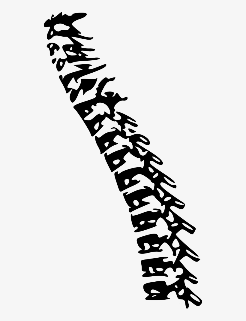 Spinal Problems - Carhartt Work In Progress Women's College Left Sweat, transparent png