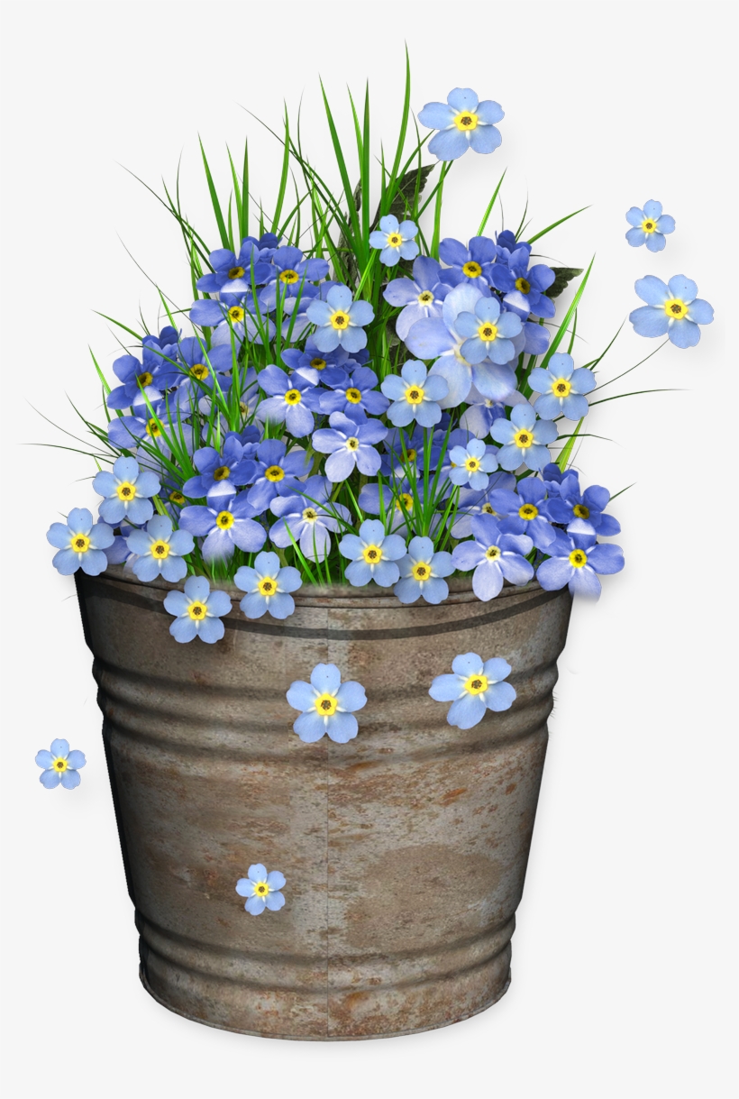 Cheyokota Digital Scraps - Forget Me Not Logo Png, transparent png