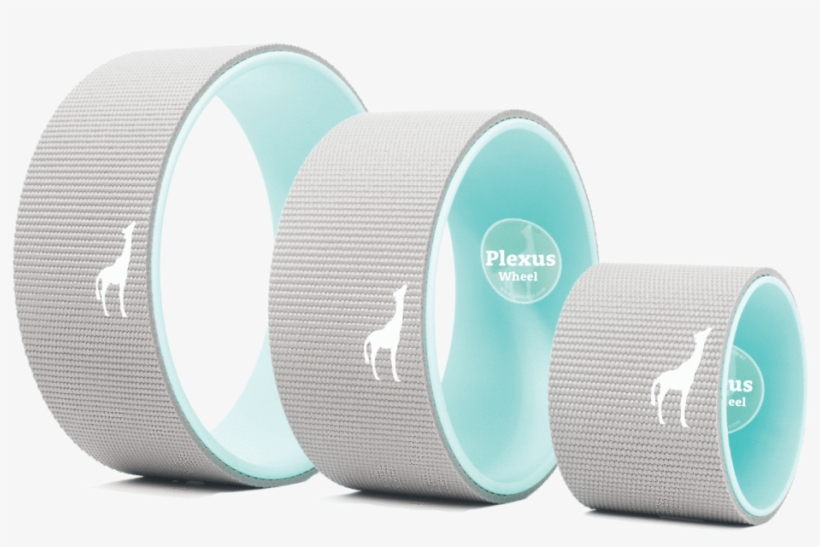 3 Wheel Pack - Back Pain, transparent png