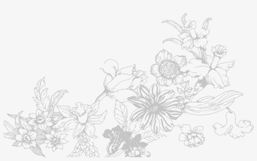 Flores Boda - Kreativitet Och Mindfulness - 100 Bilder På Blommor, transparent png