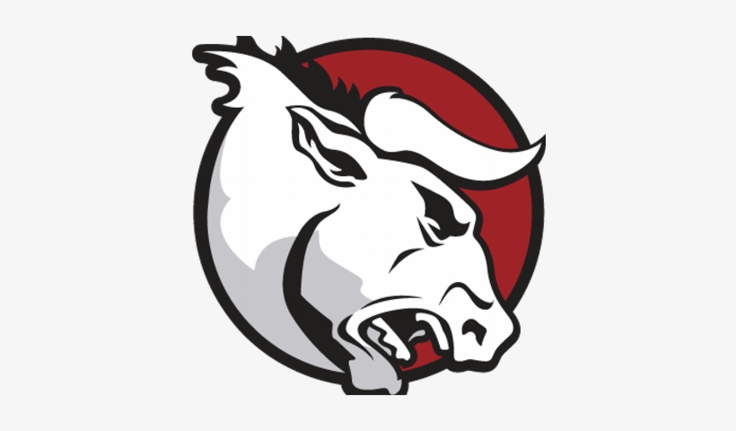 Florida Bulls - Bull Head Png, transparent png