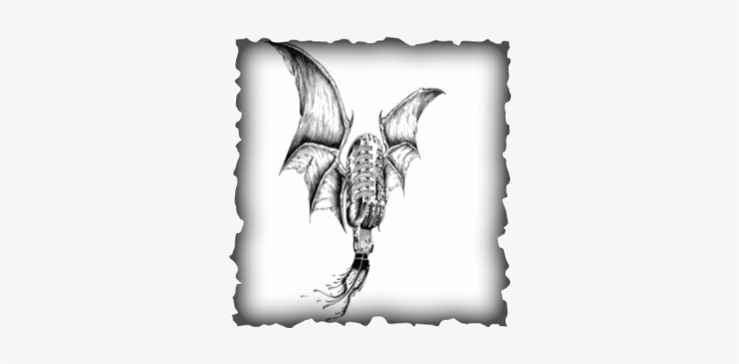 Bookings - Arizona, transparent png
