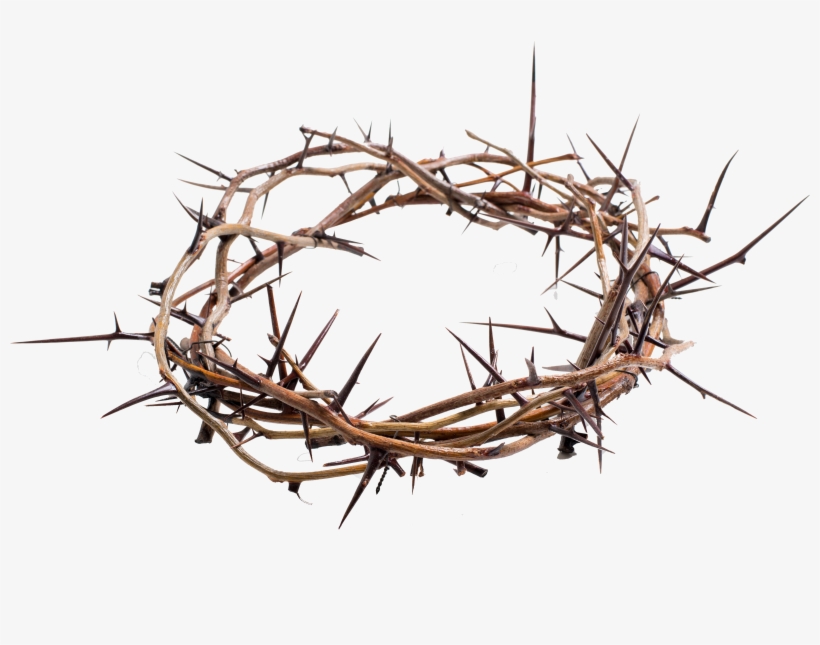 Assumption Bvm Province Franciscan - Crown Of Thorns Transparent, transparent png