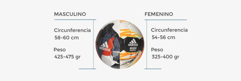 Balón De Balonmano - Balon De Futbol Y Sus Medidas, transparent png