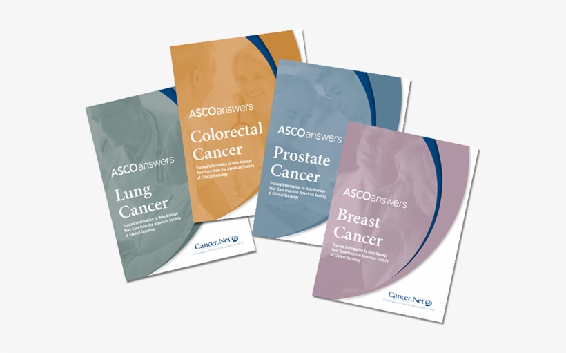 The Breast Cancer Guide Won A Merit Award In The 2014 - Paper Bag, transparent png