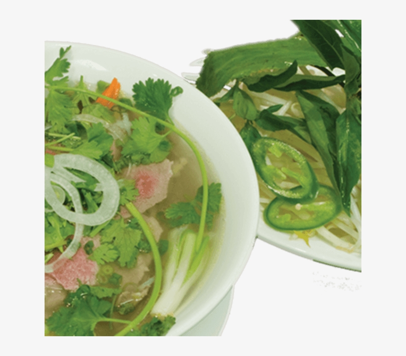 Pho Hang Vietnamese Cuisine Uses Just The Freshest - Asian Soups, transparent png