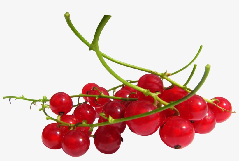 Red Currant Berries Png, transparent png