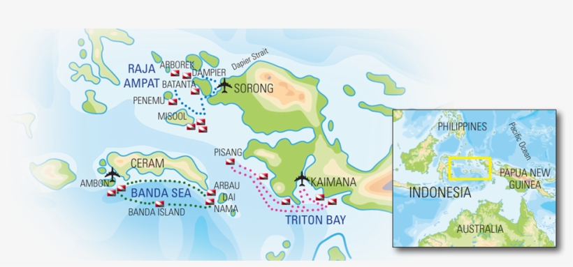 Raja Ampat Dive Sites - Melissa's Garden Raja Ampat, transparent png