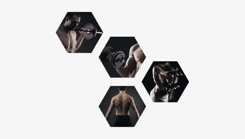Gym Png Pic - Donor Advised Fund Flow Chart, transparent png