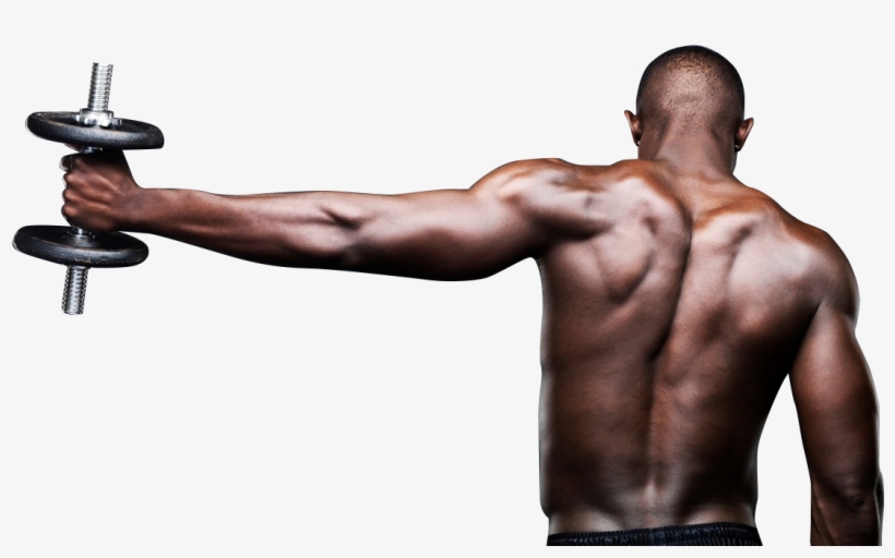 Fitness Guy Png - Man Lifting Weights Png, transparent png
