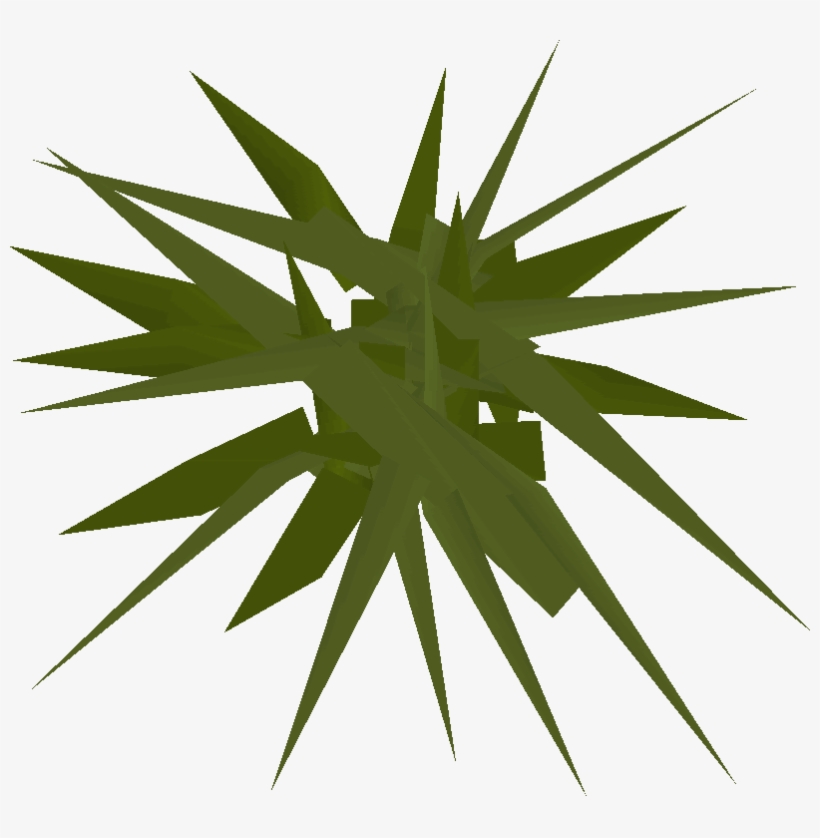 Weeds Detail - Illustration, transparent png
