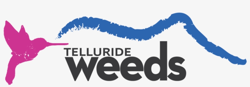 Boutique Landscapes In The Heart Of Telluride, transparent png