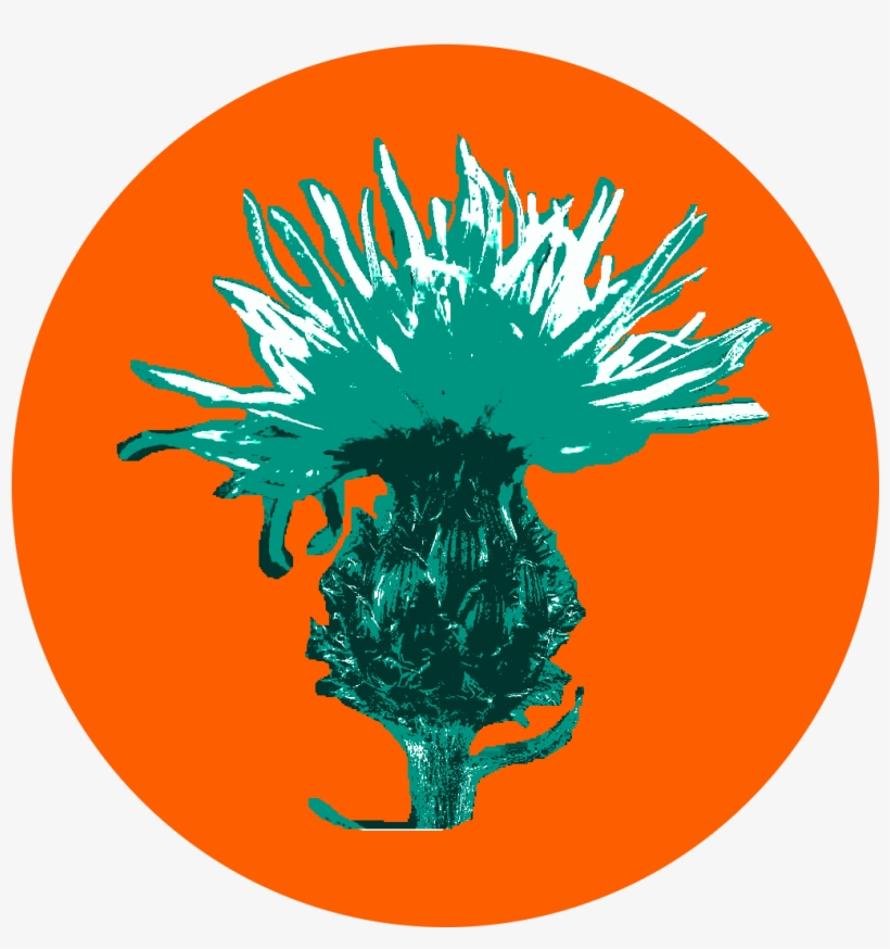 When Attempting To Eradicate Noxious Weeds, Best Efforts - New York City, transparent png