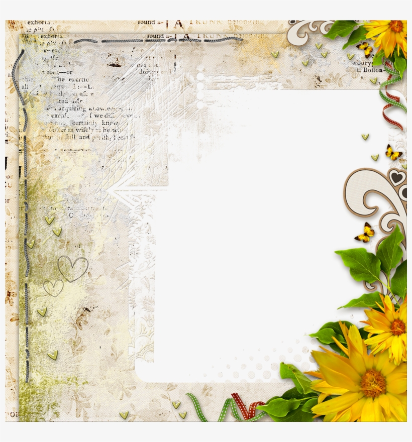 Pergamino Y Margaritas - Paper, transparent png
