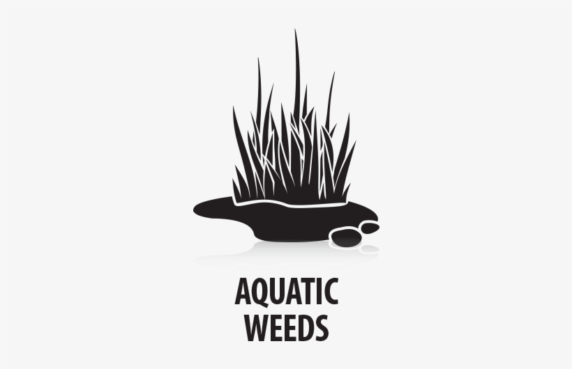 Glyphomate® 41 Weed & Grass Killer Plus Aquatic Herbicide - Illustration, transparent png