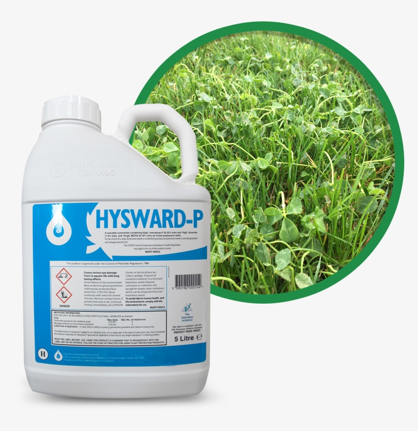 Professional Selective Weed Killers For Weeds In Turf - Gardening, transparent png