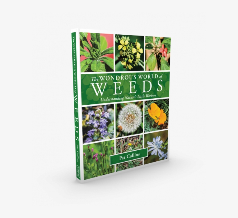 Visions Of Ichabod X - Wonderous World Of Weeds By Collins Pat, transparent png