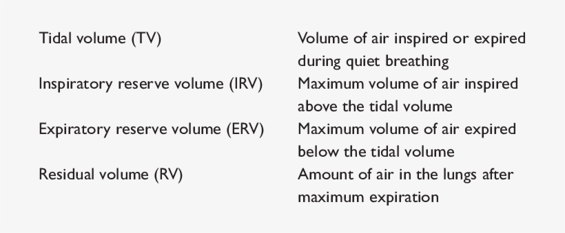 Static Lung Volumes - Http Www Dmvnow, transparent png