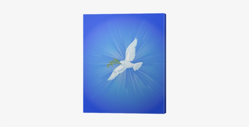 Cuadro En Lienzo Paloma Blanca En El Cielo Azul • Pixers® - Blue, transparent png