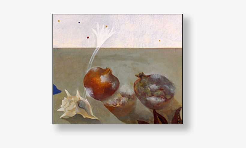 Image006 - Still Life Photography, transparent png