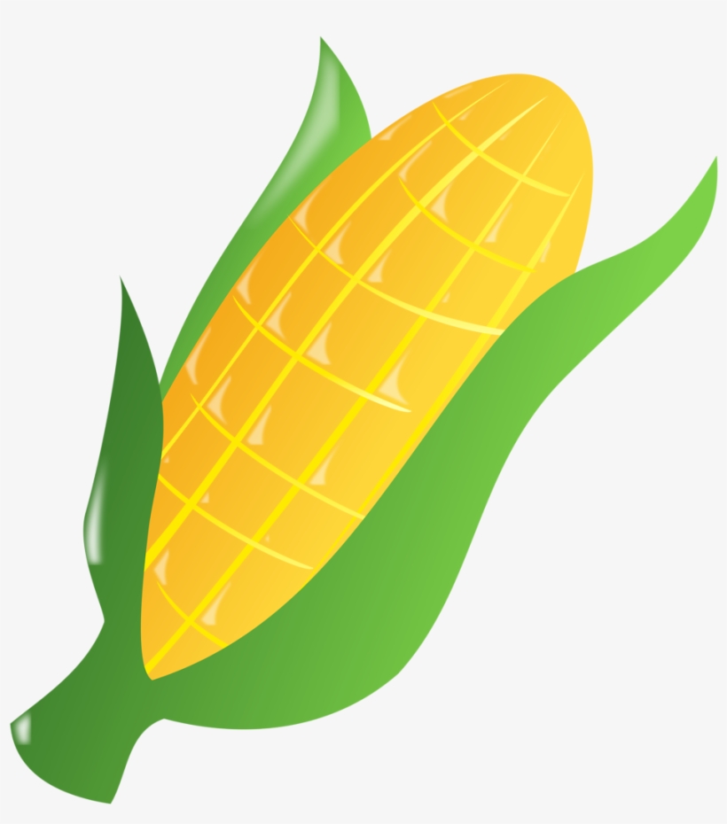 Image Stock Ear Of Drawing At Getdrawings Com Free - Ear Of Corn Clipart, transparent png