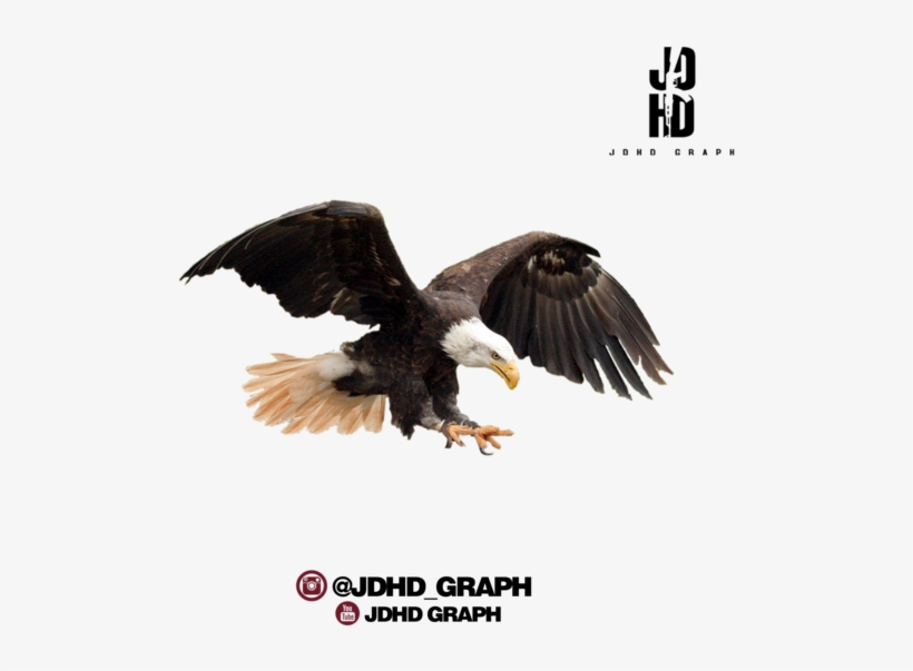 Share This Image - Americanflat United States America Flag Shower Curtain, transparent png