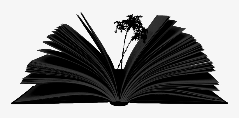 Columna Regular De Fernando Guibert Escrita Exclusivamente - Palm Tree, transparent png