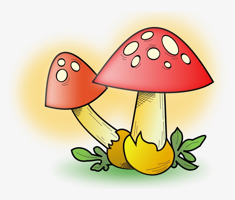 Mushrooms - Mushroom Clipart, transparent png