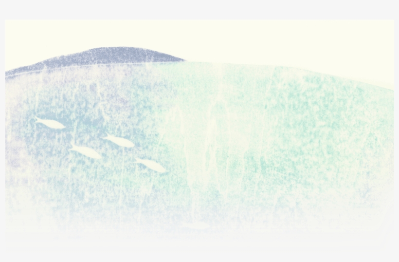 Of Our Recovery With Your Own Eyes - Sea, transparent png