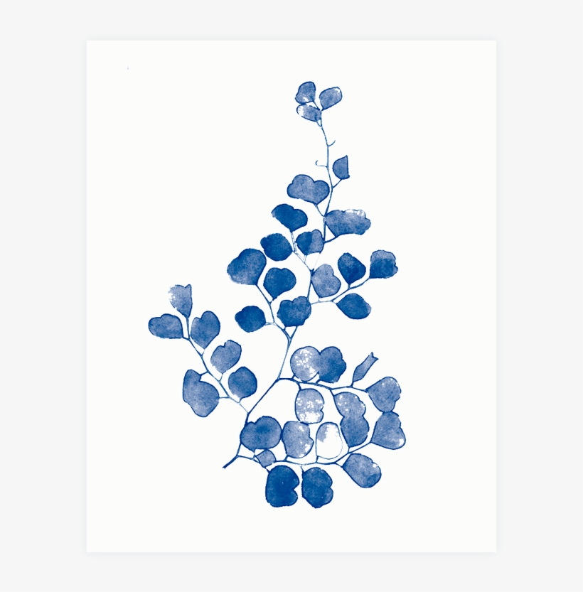 Maidenhair Fern Watercolor Print - Blueberry, transparent png