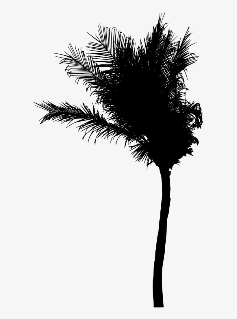 Free Png Palm Tree Silhouette Png Images Transparent - Palm Trees, transparent png