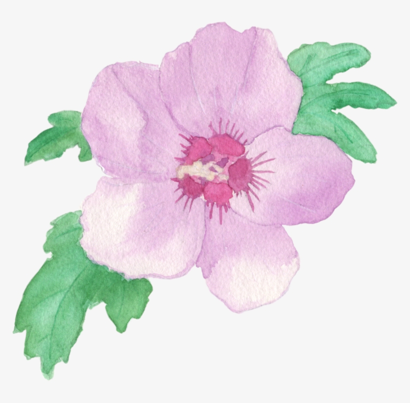Watercolorros V2 - Rosa Canina, transparent png