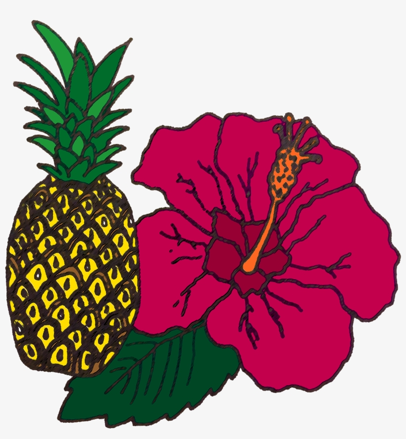 Pineapple & Hibiscus - Flower, transparent png