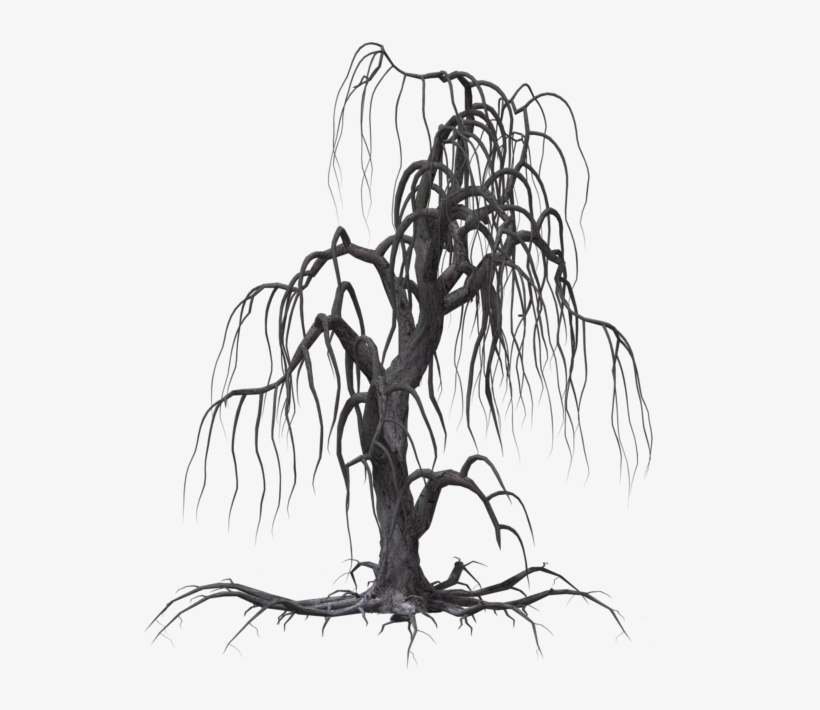 Cookies Clipart - Creepy Tree Drawing, transparent png