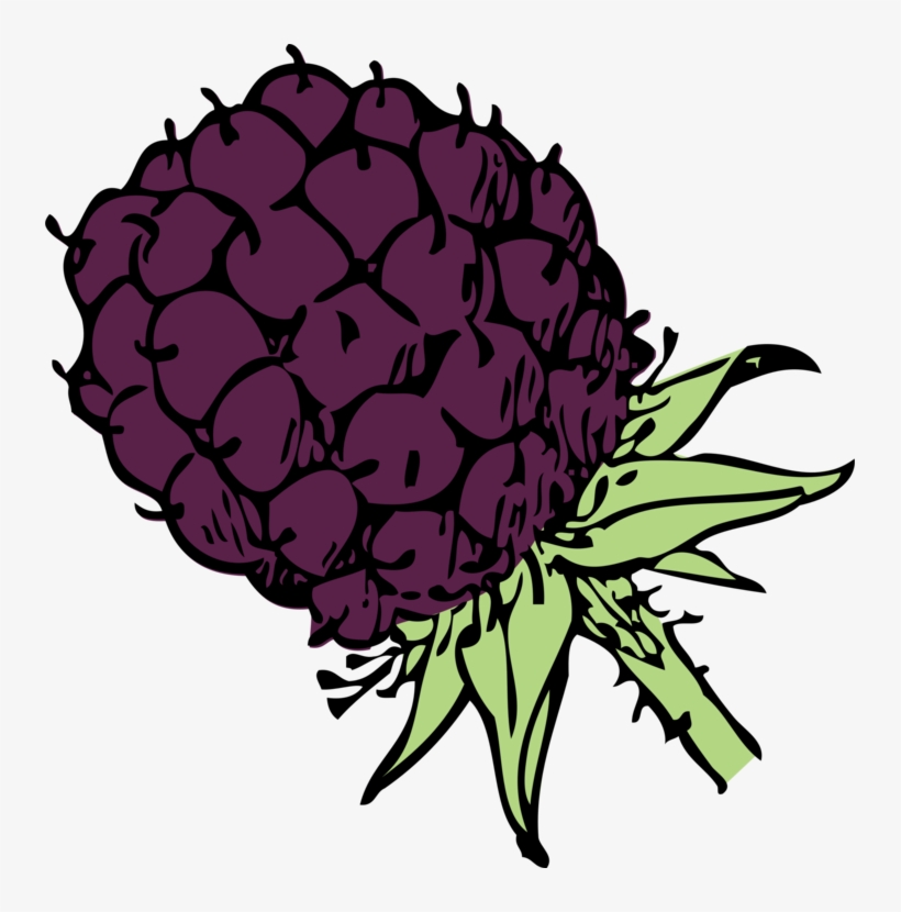 Banner Library Stock Fruit Download Computer Icons - Blackberry Clip Art, transparent png