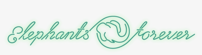 Interested In This Work Contact Us - Calligraphy, transparent png