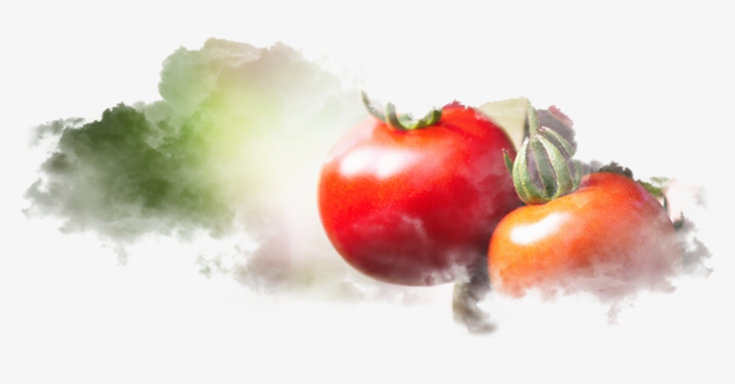 Production Steps - Plum Tomato, transparent png