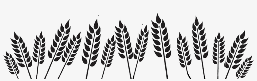 Go To Image - Grass Png Black White, transparent png