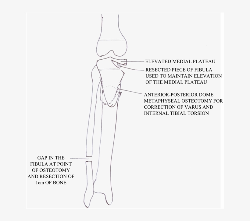 White Square Evidenced By Its Selection Of Styles, - Shelf, transparent png