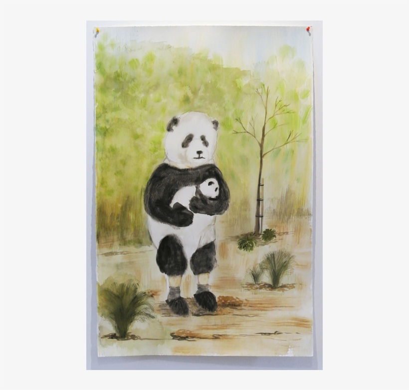 Panda Drawing - Laura Ford Of Sullivan, transparent png