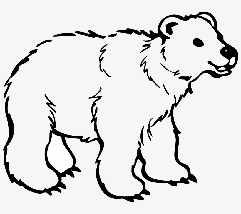 Download Young Polar Bear Svg Clip Arts 600 X 488 Px 600x488 Png Download Pngkit