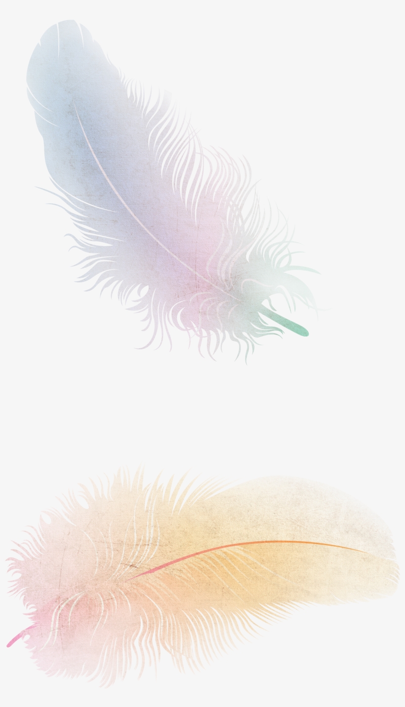 Eyelash Extensions, transparent png