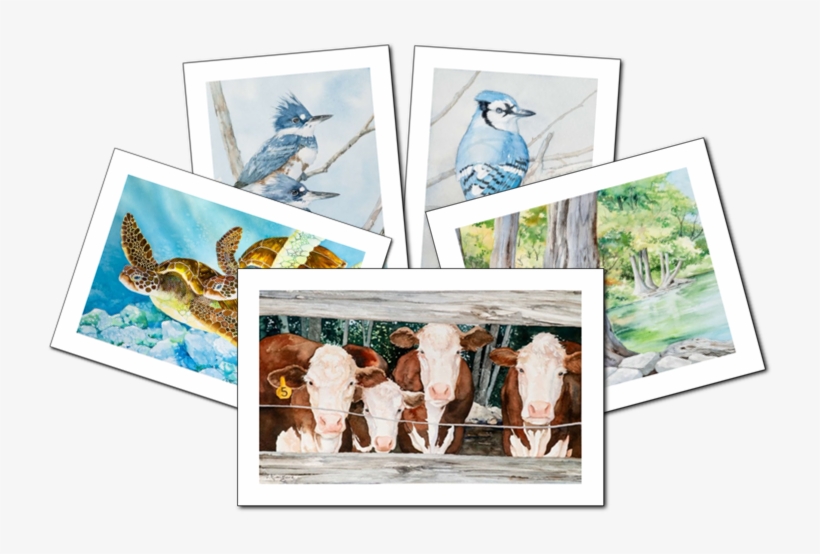 Artist Cards - Canoe, transparent png